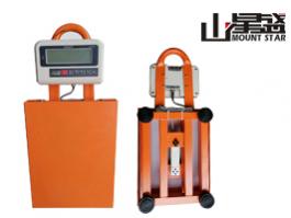 2020新款手款秤 理電池使用時(shí)間長 傳輸速度快 稱重準(zhǔn) 反應(yīng)快